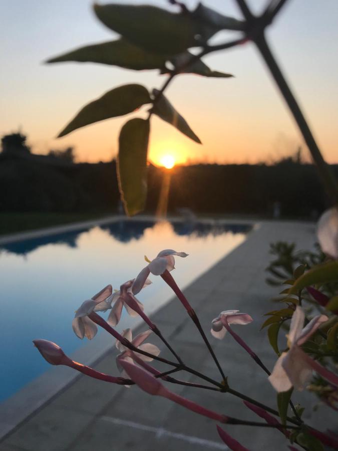 Le Mas De La Source Bed & Breakfast Мужен Екстериор снимка